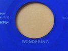 RARE OHIO GARAGE 45/ SKEPTICS 