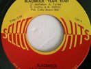Rare 1971 Garage Psych Soul Funk SELECT O HITS 104 45 BLACKROCK 