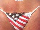 The Black Crowes - Amorica