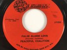 PRIVATE 1960s WI Garage Rock 45 PEACEFUL COALITION 