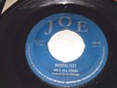 JOE'S ALL STARS Hey Jude / Musical Feet UK 1969  JOE DU 24 VG+ N/C