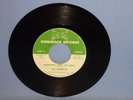 The Firebolts Everybody Party (Get Down) 45rpm RARE 1967 Disco Funk