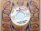 ROYAL ROBINS doowop PROMO 45 SOMETHING YOU'VE GOT BABY / HOW HIGH THE MOON pj121