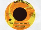 VON RUDEN The Spider and The Fly on Ivanhoe Promo Garage Fuzz Psych 45 Hear