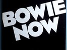 DAVID BOWIE BOWIE NOW VERY RARE ORIG'78 RCA WHITE LABEL PROMO-ONLY SAMPLER LP NM