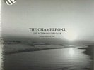 THE CHAMELEONS Live at the Gallery Club - 2LP / Grey Vinyl - Limited