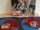 CANNIBAL CORPSE - DISMEMBERING DALLAS - DOUBLE LP - MINT - LIMITED 250 COPIES