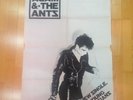 Adam & The Ants Young Parisians Original 1978 Promo Poster +COA Punk New Wave