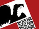 NITZER EBB Basic Pain Procedure 12