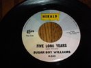 RARE 1958 SUGAR BOY WILLIAMS HERALD 555 FIVE LONG YEARS/LITTLE GIRL-GUITAR BLUES