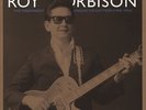 Roy Orbison - Monument Singles 2x 180g vinyl LP NEW/SEALED Best Of Greatest Hits