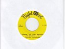 psych funk 45 FABULOUS TROUBADORES - Chester / Tribute to Jimi Hendrix *HEAR*