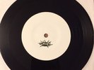 Dave Hause / Cobra Skulls split 7