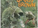 SAVOY BROWN Looking In LP VINYL UK Decca 80's Reissue 9 Track Gatefold Sleeve