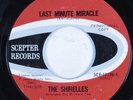 Northern Soul 45 SHIRELLES Last Minute Miracle SCEPTER promo HEAR