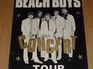 Beach Boys 1968 UK Tour Programme(Barry Ryan/Eclection/Sharon Tandy/Vanity Fare)