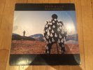 Pink Floyd–Delicate Sound Of Thunder 2 Lp/Vinyl, Psychedelic Rock,Progressive