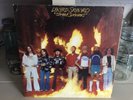 Lynyrd Skynyrd - Street Survivors - 1977 MCA Vinyl LP Album Flames Cover VG+/EX