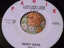 Primitive Detroit Garage Punk Fuzz 45 Rainy Days I Can Only Give You VG+ HEAR