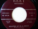 DO-RAY-ME TRIO 45 Wrapped Up in a Dream/Why Did You Do It... REET doo wop ws339