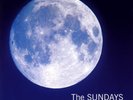 THE SUNDAYS STATIC & SILENCE 12