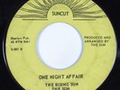 Funk/Sweet Soul 45 RISING SUN One Night Affair SUNCUT HEAR