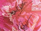 Rare SIGNED Siouxsie & The Banshees 1984 THE THORN no record