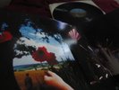 PINK FLOYD  ?? THE FINAL CUT ?? FIRSTPRESS IN PERFECT CONDITION FOLDOUT + LYRICS