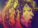 ROBERT PLANT 2016 Signed autograph (LED ZEPPELIN ) MANIC NIRVANA GERMANY ISSUE