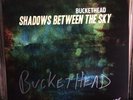 SIGNED Buckethead Shadows Between The Sky Vinyl Lp (not Guns N Roses Primus)