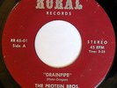 PROTEIN BROS.: Cholo / Drainpipe 45 (strong VG close to VG+, Rick Henn/Dennis D