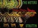 THE METERS 