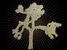 U2 'Joshua Tree' 30th Anniversary Super Deluxe (New VINYL Box Set)