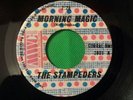 the STAMPEDERS - Morning Magic 45 NM Vinyl - RARE PRESSING - CORRAL-BMI 2001A/B