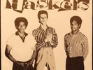 The HASKELS: Taking the City by Storm ORIGINAL power pop punk MILWAUKEE HITS kbd