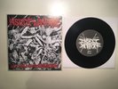 Insect Warfare At War with Grindcore 7