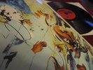 DIRE STRAITS  ?? LIVE ?? VINYL IN PERFEKTEM ZUSTAND 1st PRESS 