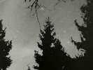 Diaboli - Towards Damnation LP