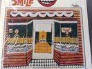 Beach Boys Smile, Brian Wilson, Near Mint Lp Brother Records