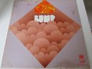 BUMP RARE MICHIGAN PSYCH PROG ROCK GRAIL LP ON PIONEER LABEL 1970 ORIGINAL PRESS
