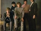 THEM/ VAN MORRISON Angry Young Them 1965 MONO original lp beat/garage