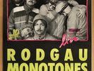 RODGAU MONOTONES 1988 LAHR   + orig.Concert Poster + Konzert Plakat ART.6