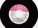 WC FIELDS MEMORIAL ELECTRIC STRING BAND - Hippy Elevator psych fuzz (HBR) *HEAR