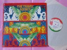 The TRAVEL AGENCY s/t V Rare Orig US 1968 Viva Fuzz Acid Psych Garage LP