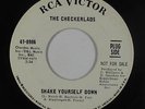 Garage 45 - Checkerlads - Shake Yourself Down/Baby Send For Me - RCA VG++ mp3