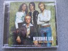 wishbone ash - time will pass away
