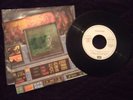 IRON MAIDEN WASTED YEARS SPANISH PROMOTIONAL SINGLE