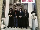Vinyl Album / LP 