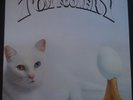 RARE Private AOR Pop-Rock LP by TOM FOOLERY ( pre-LEVEL ) - 1981 USA Tom Marolda