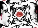 LP RED HOT CHILI PEPPER 